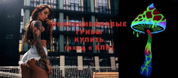 герыч Алексин