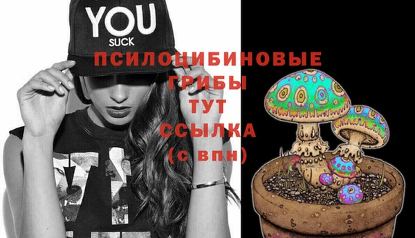 марки nbome Алексеевка