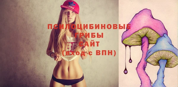 герыч Алексин